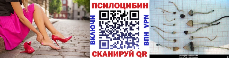 Псилоцибиновые грибы Magic Shrooms Уссурийск