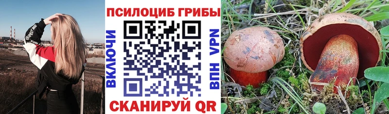 цена наркотик  Уссурийск  Галлюциногенные грибы мицелий 