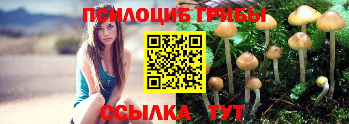 Уссурийск  Галлюциногенные грибы ЛСД  Псилоцибиновые грибы Psilocybe  Вход с VPN 